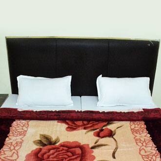 Hotel Lucky Palace, Agra 2